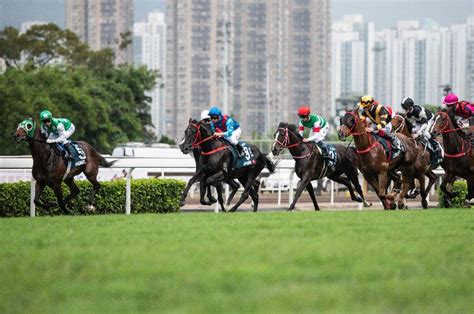 horse racing streams reddit